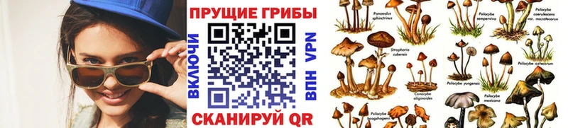 Галлюциногенные грибы прущие грибы  купить наркотики цена  Юрюзань 